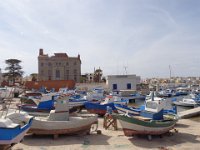 isole egadi